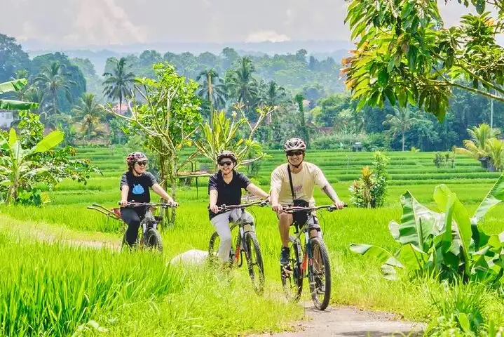 Bicycle Ride Tour