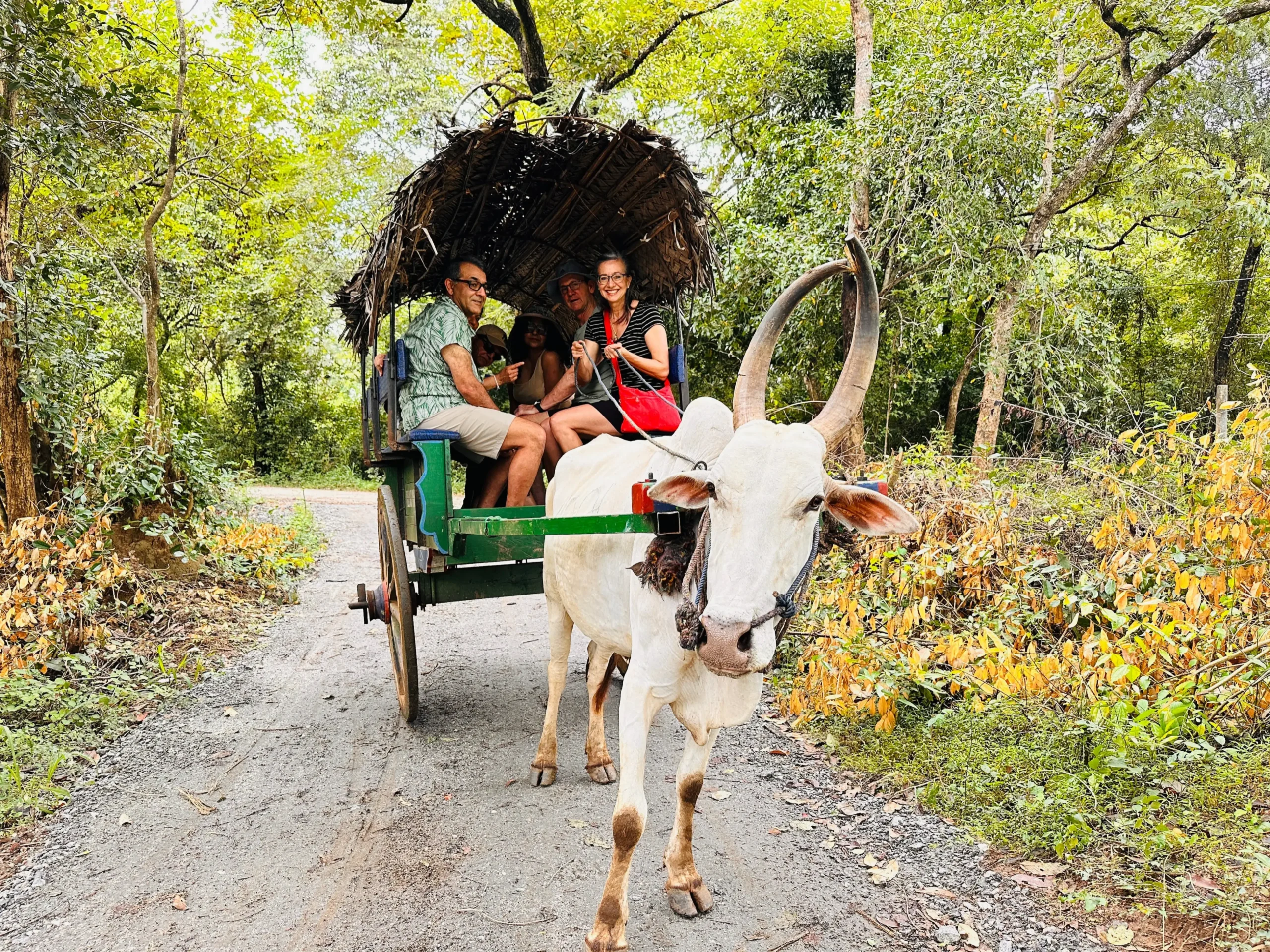 Bullock Cart Ride Safari