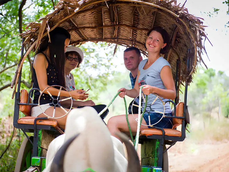 Bullock Cart Ride Safari