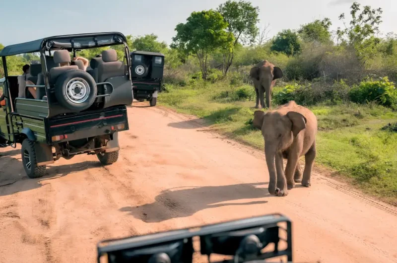 Hurulu Eco Park Safari