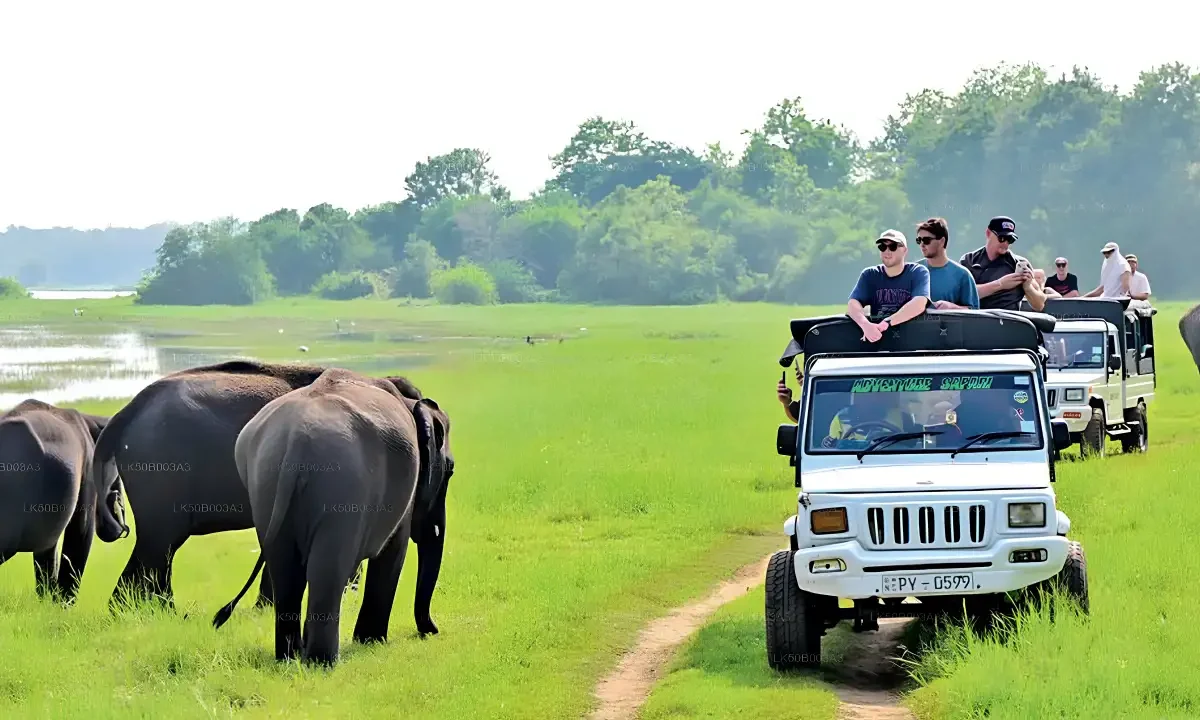 Explore Kaudulla & Hurulu Eco Park