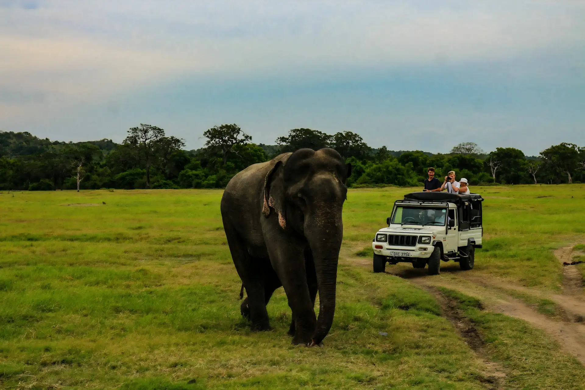 Hurulu Eco Park Safari
