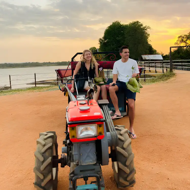 Tractor Safari