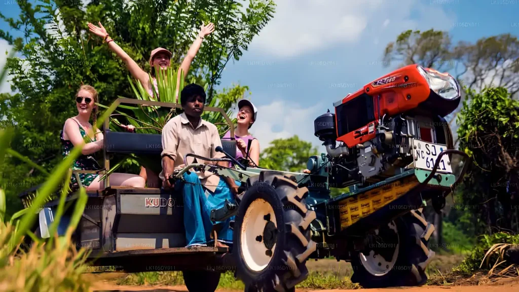 Tractor Safari