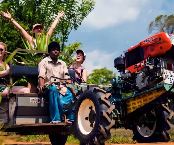 Tractor Safari