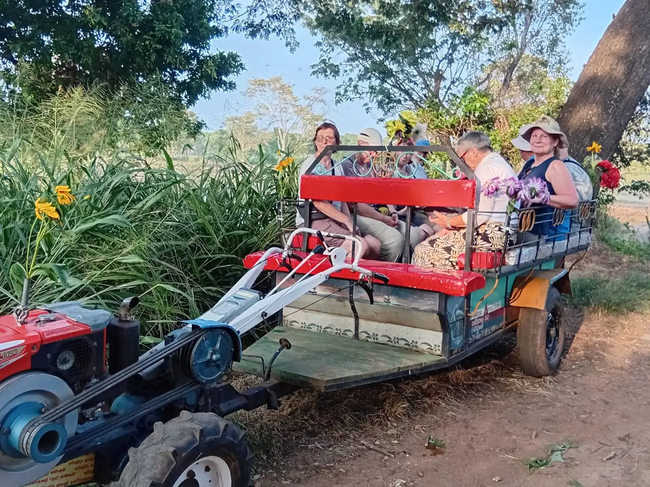 Tractor Safari